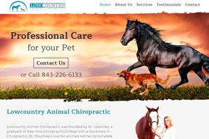 Lowcountry Animal Chiropractic